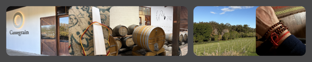 Cassegrain Wineries NSW