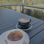 Port Macquarie Cassegrain Wines